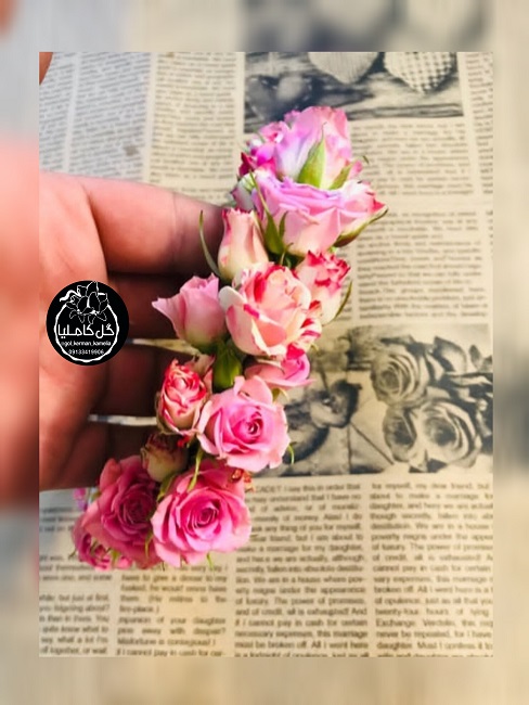 تالار گل کاملیا کرمان