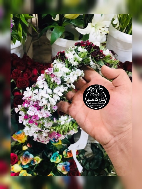 تالار گل کاملیا کرمان