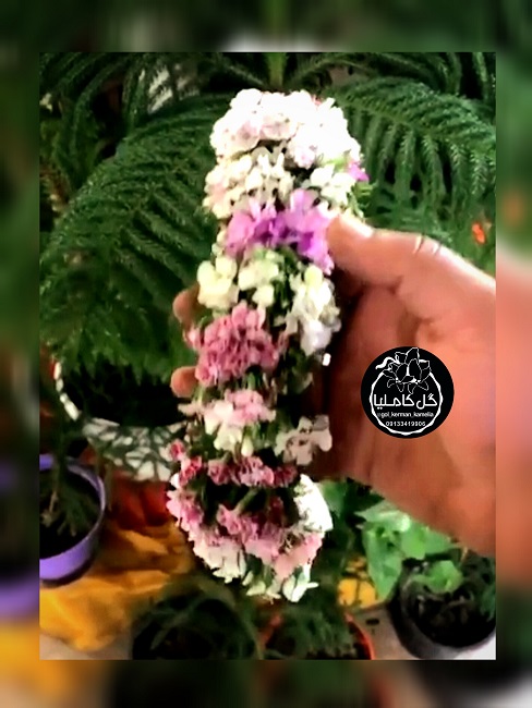 تالار گل کاملیا کرمان