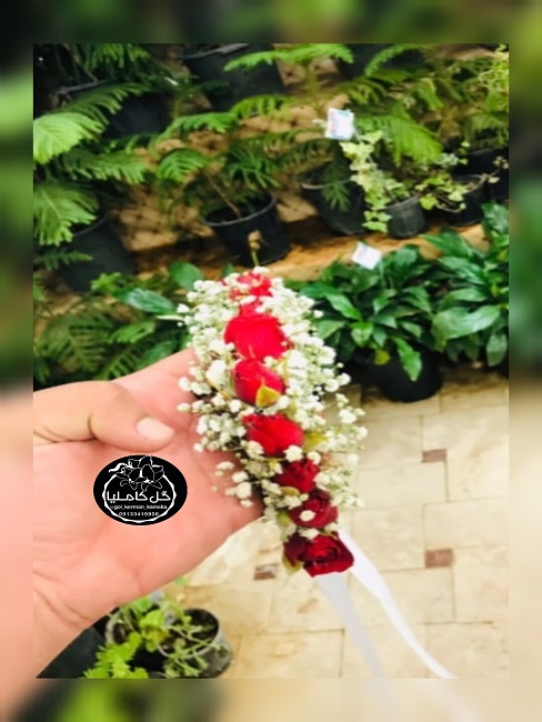 تالار گل کاملیا کرمان