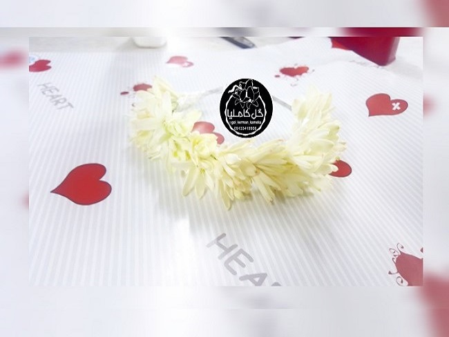 تالار گل کاملیا کرمان