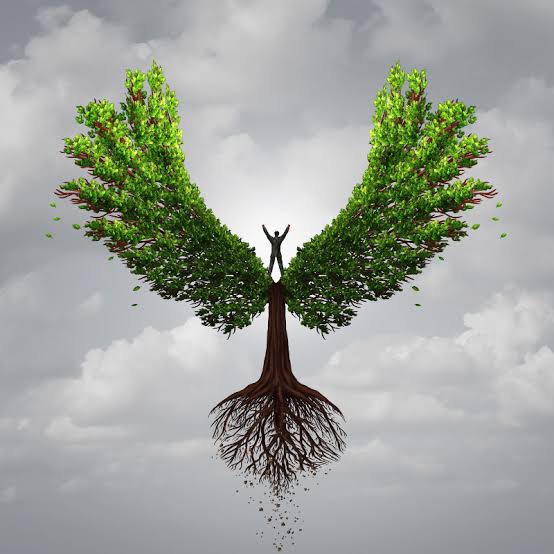 کیمیا حبیبی نامقی