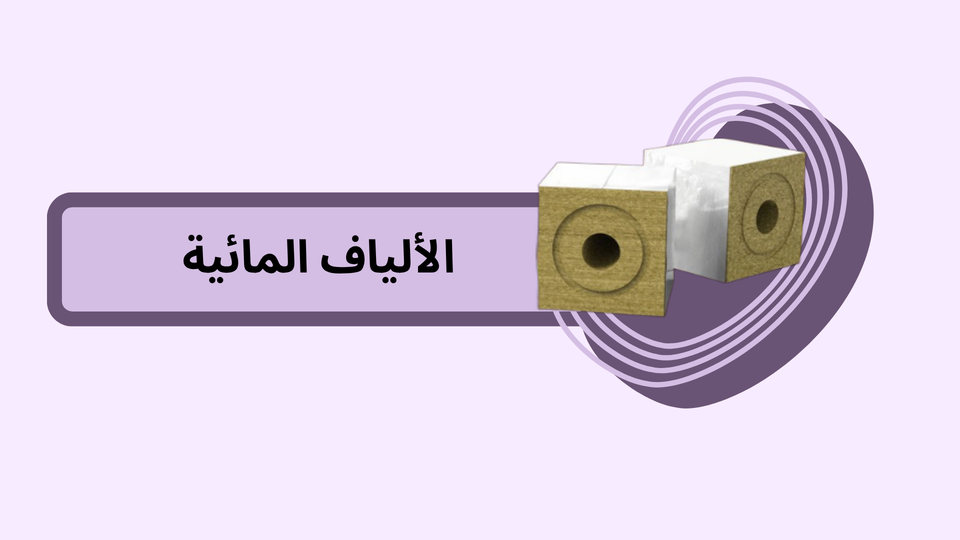 بَردیس عازِس سامان