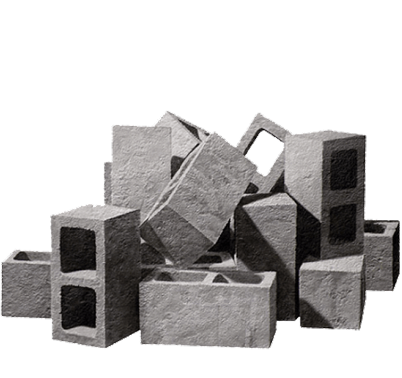 بیوگرافی بلسا