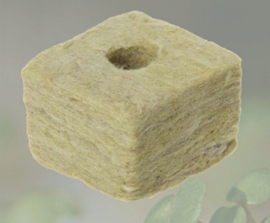 سیدرسول کافی موسوی نجف آبادی