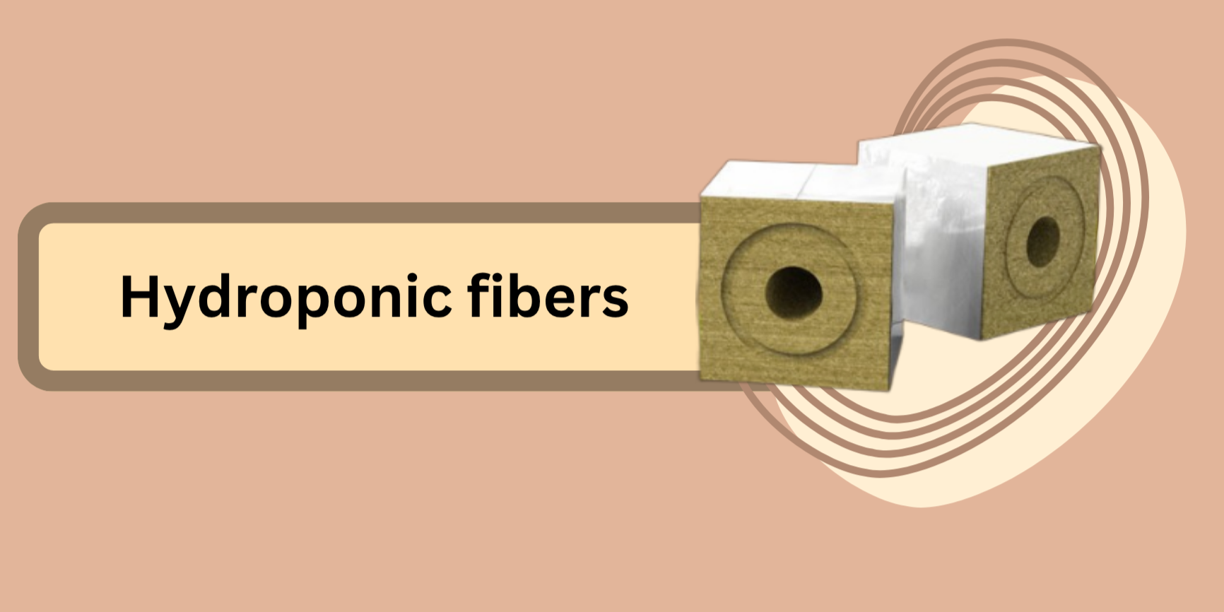 سیدرسول کافی موسوی نجف آبادی
