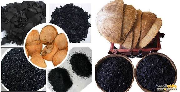 تولید کربن از پوست 
گردو، پسته و زردآلو
