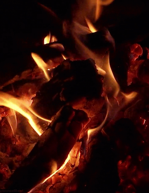 تولید و فروش کربن پوست میوه‌های اجیلی بصورت خرده و عمده در تناژبالا