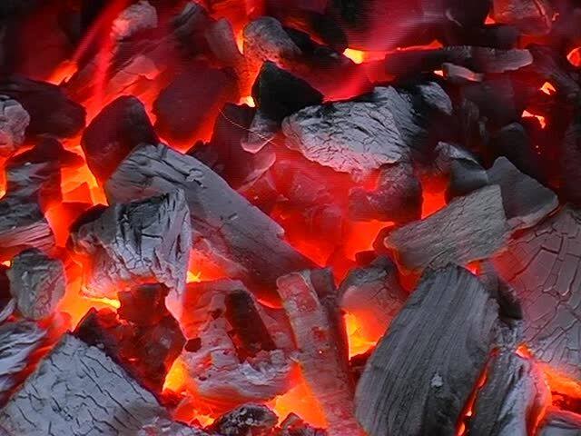 کربن پوست گردو