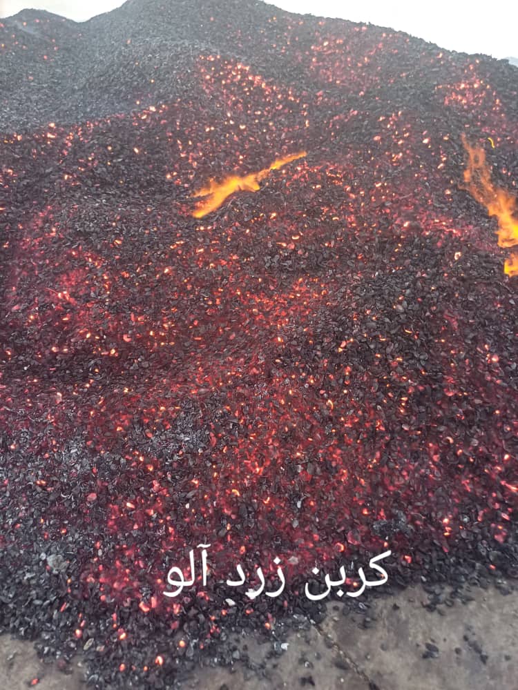 کربن هسته زردآلو