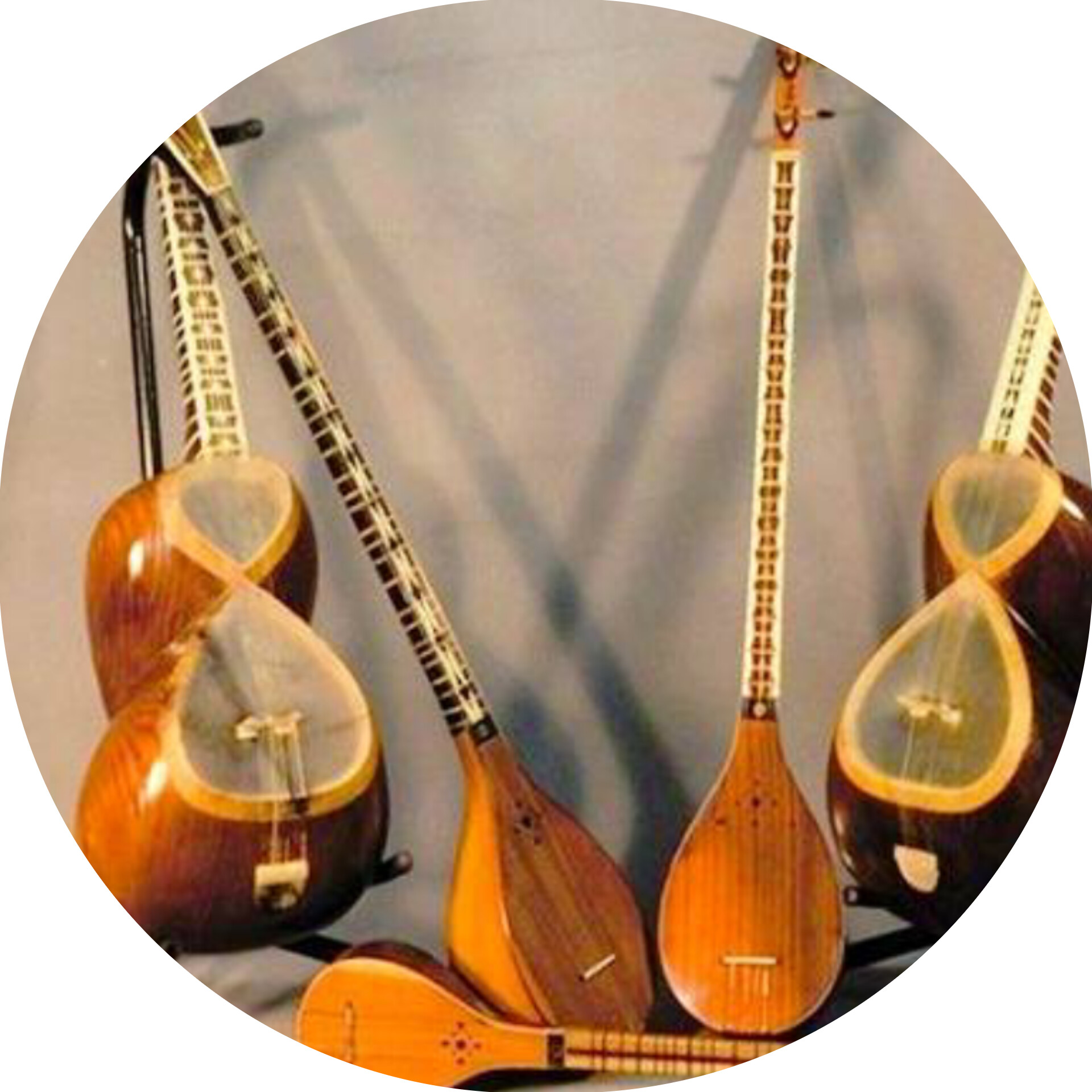 زهرا باغچه اجی بیشه