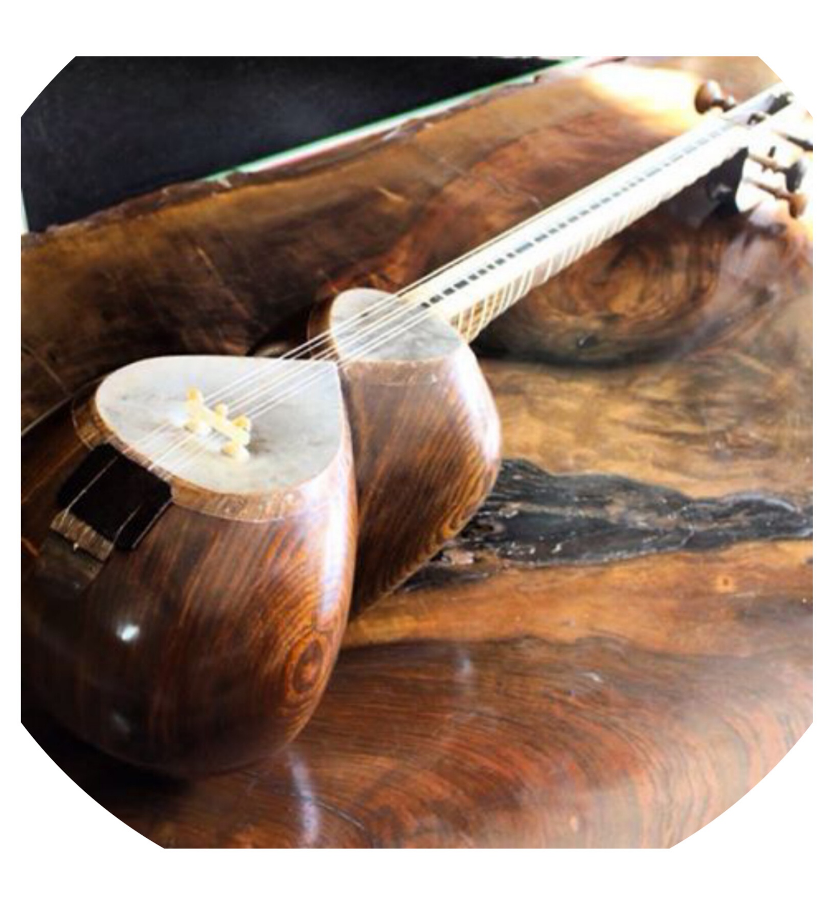 زهرا باغچه اجی بیشه