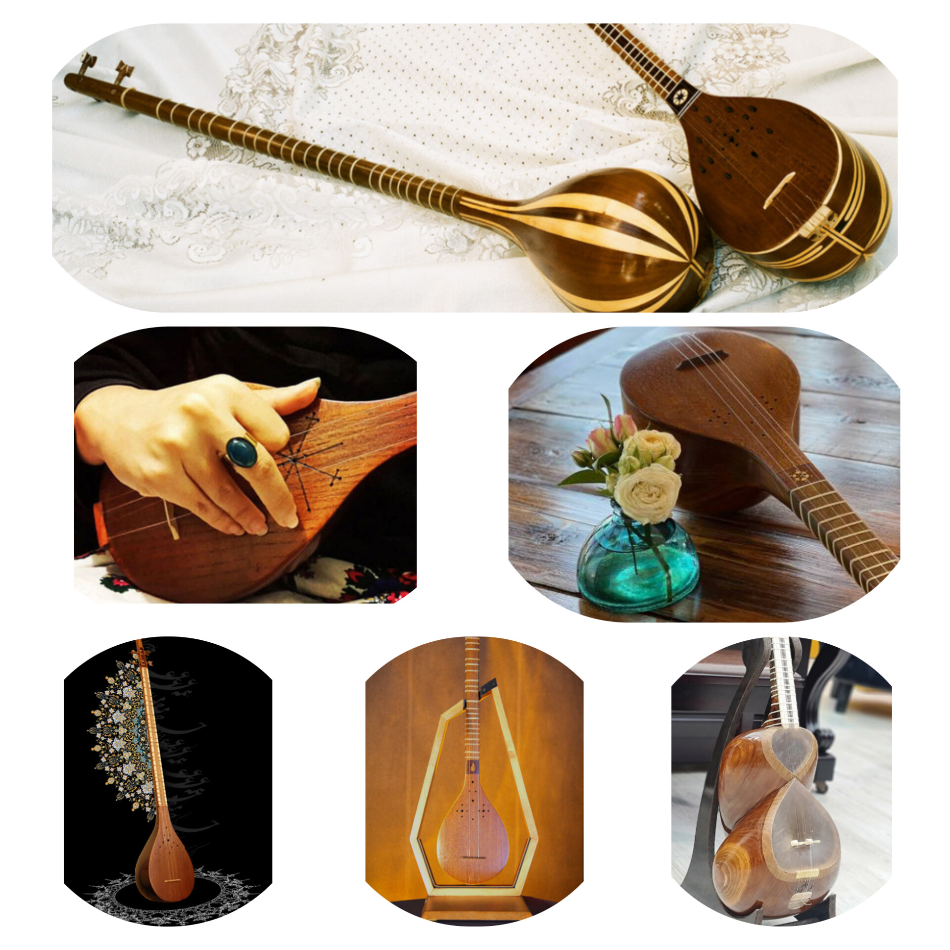 زهرا باغچه اجی بیشه