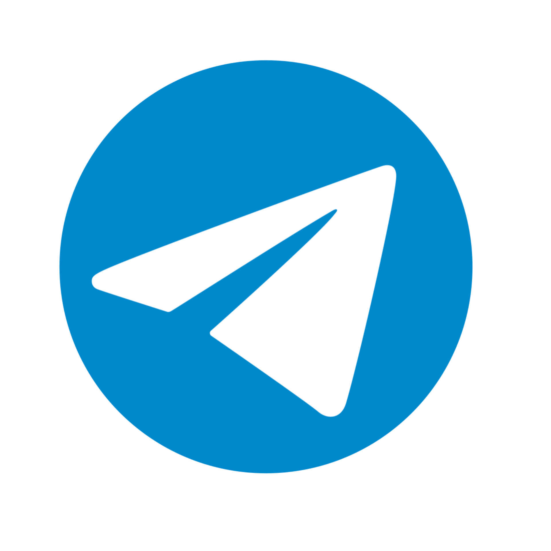 زهرا باغچه اجی بیشه