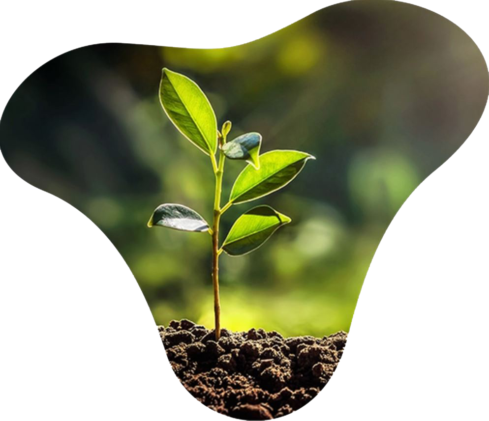 قیمت نوار تیپ آبیاری قطره ای