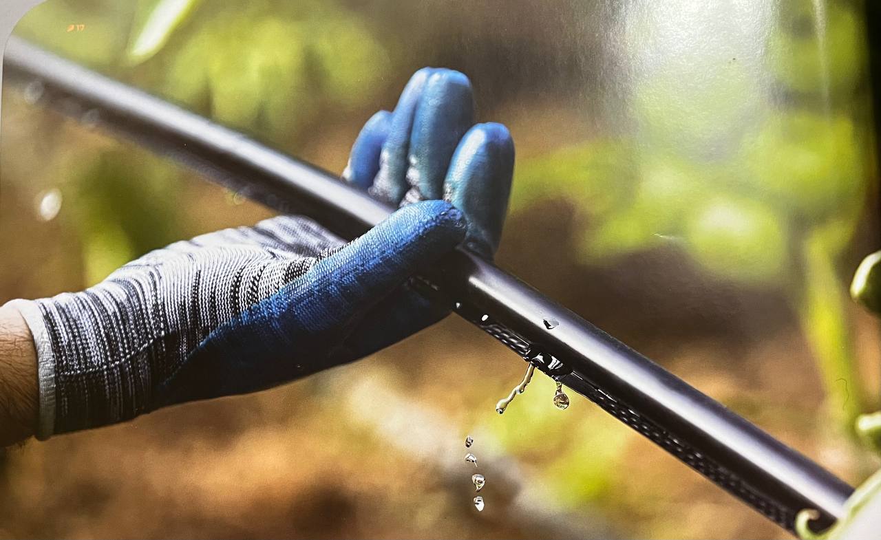 محسن جعفرزاده جزی