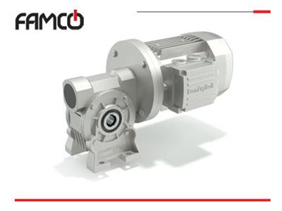 مهدی مظلومی