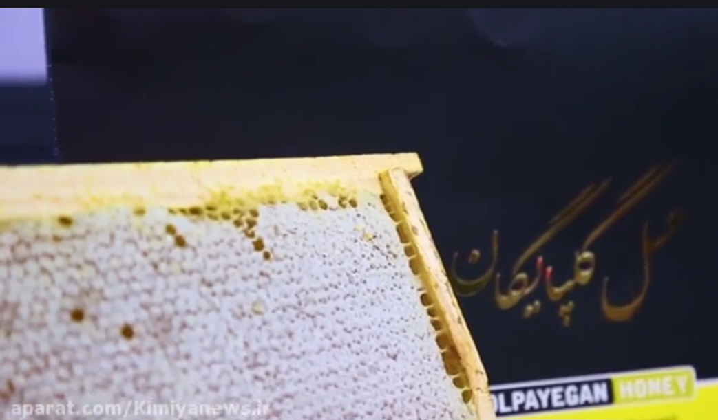 خرید عسل گلپايگان  