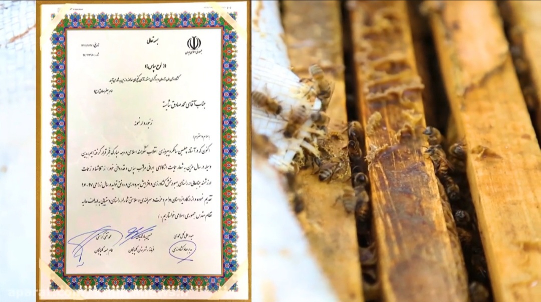  عسل گلپايگان شایسته 