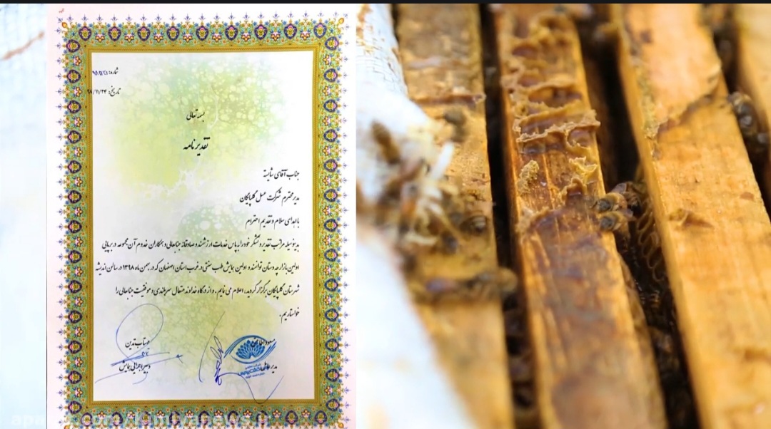 خرید عسل گلپايگان 