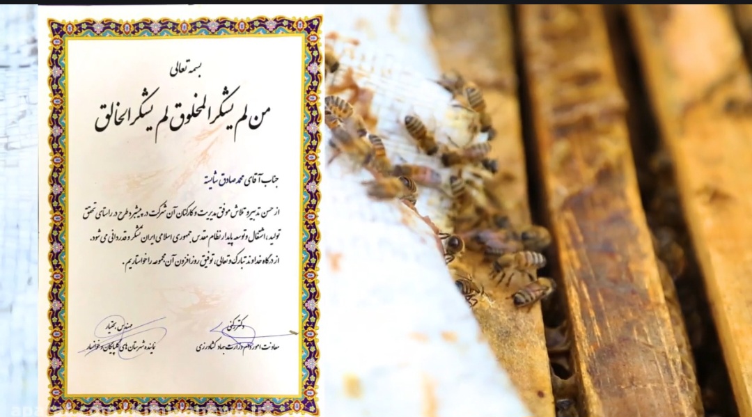 خرید عسل گلپايگان  