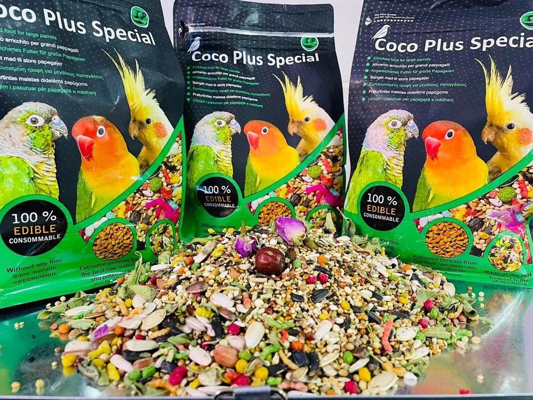 پت شاپ بروجرد