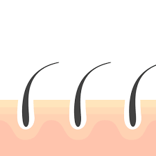 بهترین کلینیک تخصصی زیبایی در سنندج