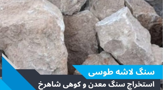 شاهرخ جعفری