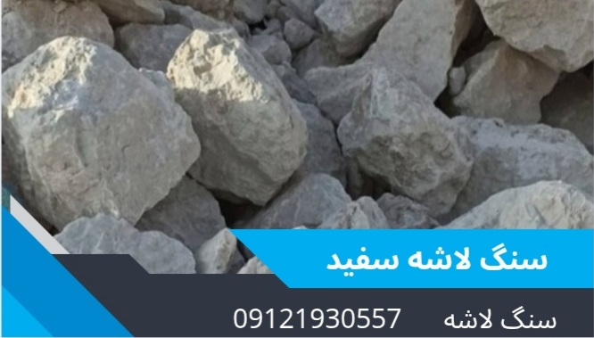 شاهرخ جعفری