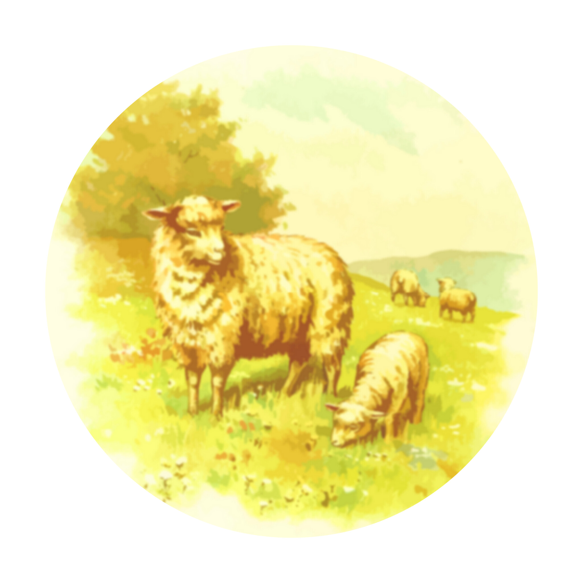 خوراک دام در همدان