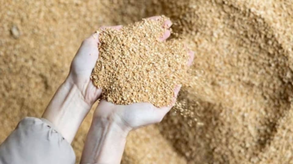 خوراک دام در همدان