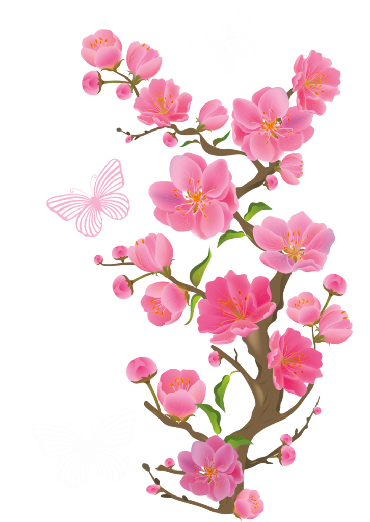 گلفروشی در یاسوج