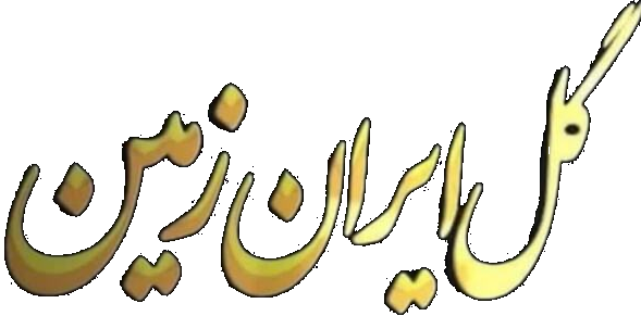 گلفروشی در یاسوج