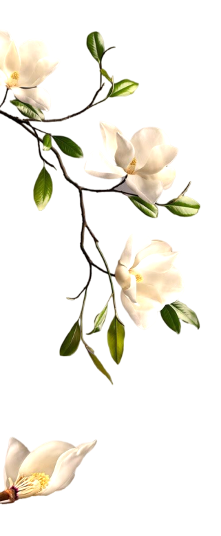 گلفروشی در یاسوج