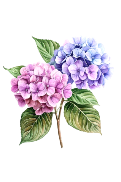 گلفروشی در یاسوج