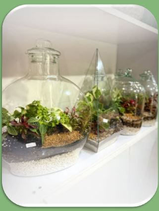 گلفروشی در یاسوج