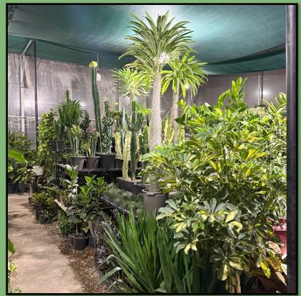 گلفروشی در یاسوج