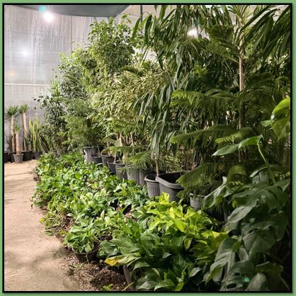 گلفروشی در یاسوج