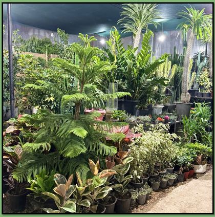 گلفروشی در یاسوج