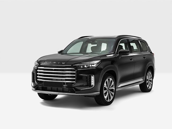 گروه خودرویی محتشم