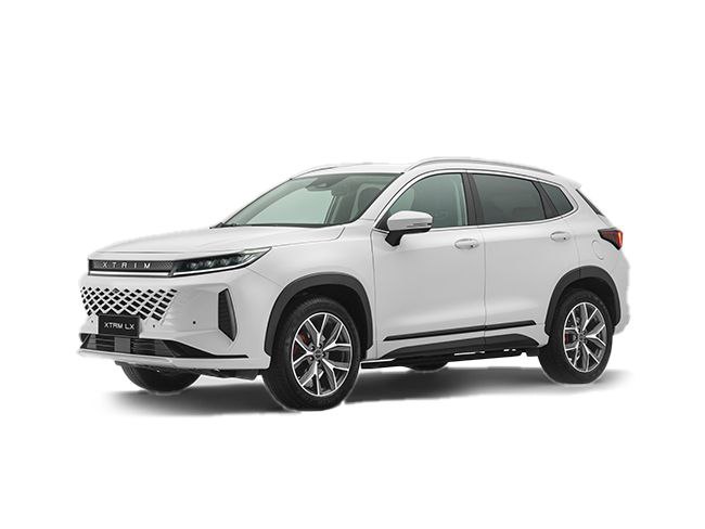 گروه خودرویی محتشم