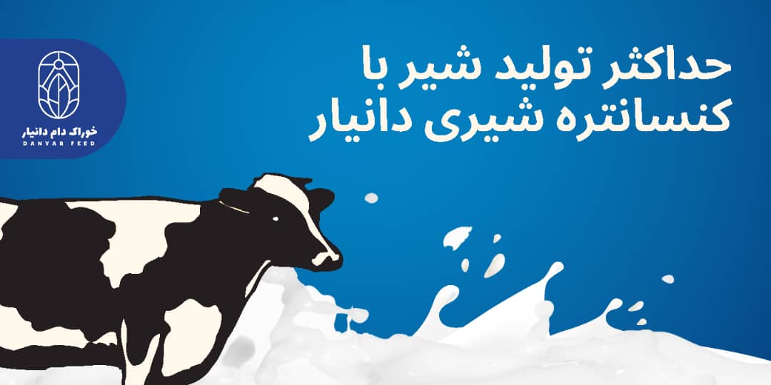 خوراک دام سنندج 