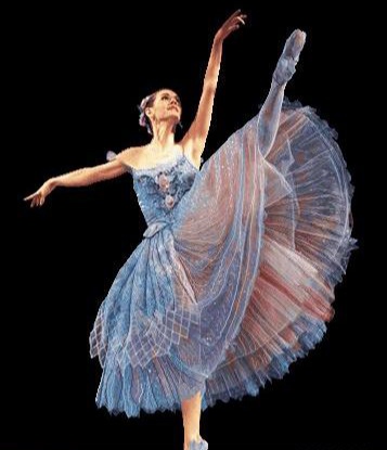 آموزش رقص حرفه ای در تهران