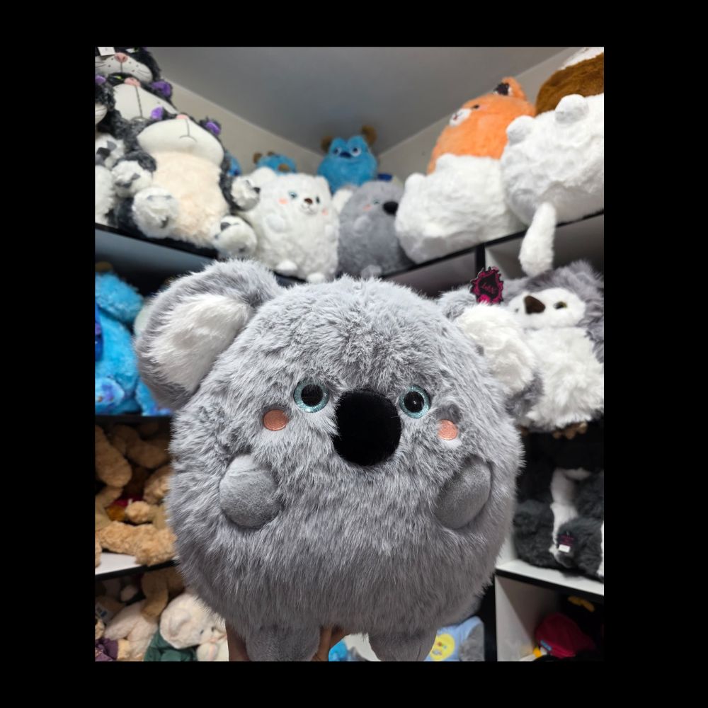 خرید عروسک تک در اصفهان