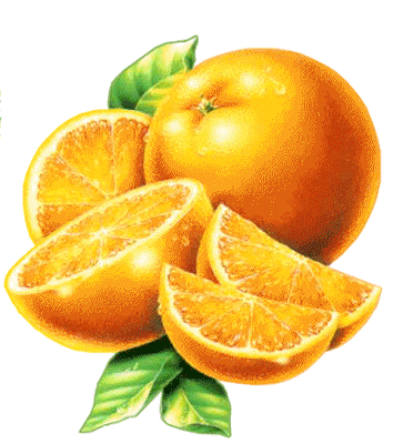 بهترین کود ارگانیک در ارومیه