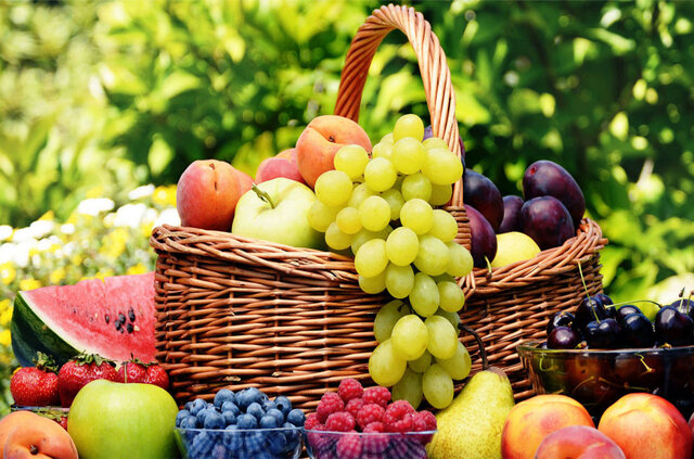 بهترین کود ارگانیک در ارومیه