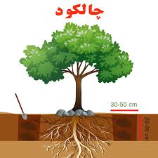 بهترین کود ارگانیک در ارومیه&nbsp;