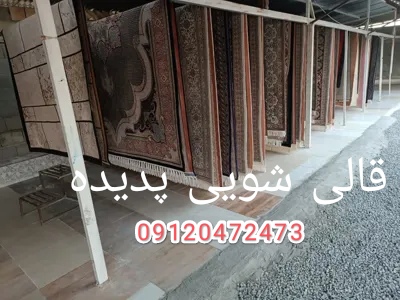 قالیشویی پدیده