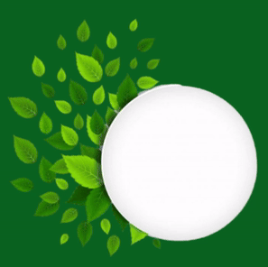 چادر دوزی آزادگان در تهران 