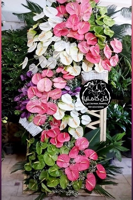 گل فروشی در پارک مطهری کرمان